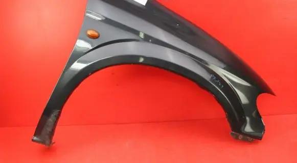 Fender