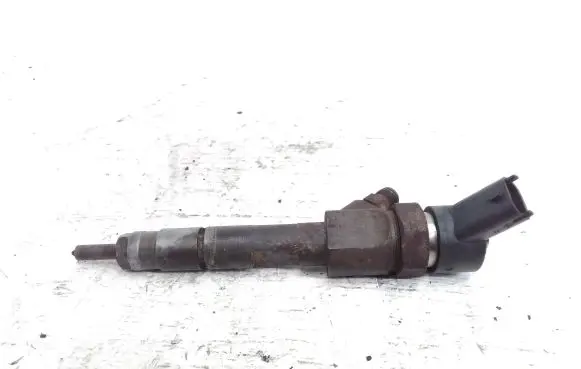Renault Laguna II Fuel injector 0445110110 8200100272