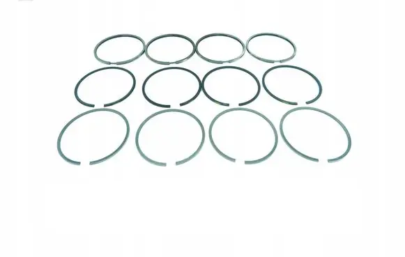 Fiat Uno Piston ring 1900501