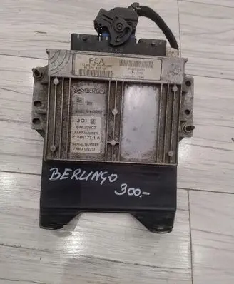 Engine control unit/module ECU