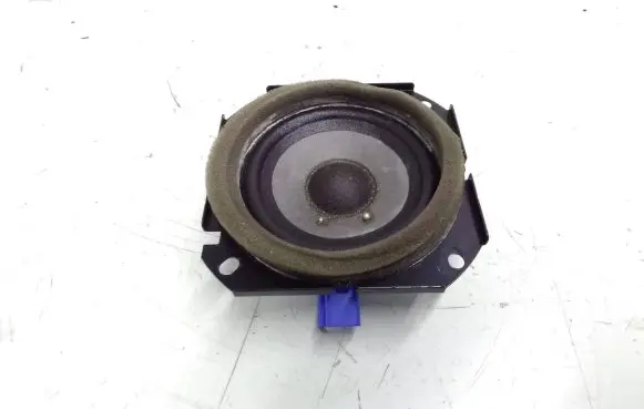 Panel speaker