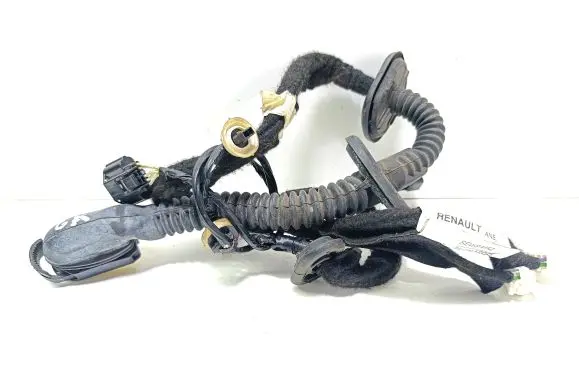 Rear door wiring loom