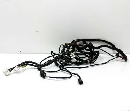 Tesla Model S Other wiring loom 100442890N