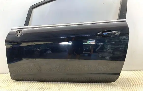 Ford Fiesta Front door