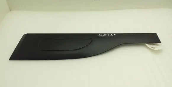 Citroen C4 Cactus Front door trim (molding) 9823415877