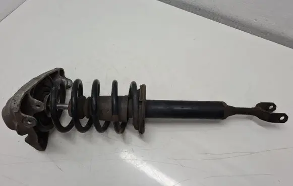 Volkswagen PASSAT B5.5 Front shock absorber/damper 3B0413031