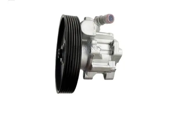 Peugeot 406 Power steering pump 7691955195 4007N2 9624659680