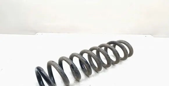 Rear coil spring