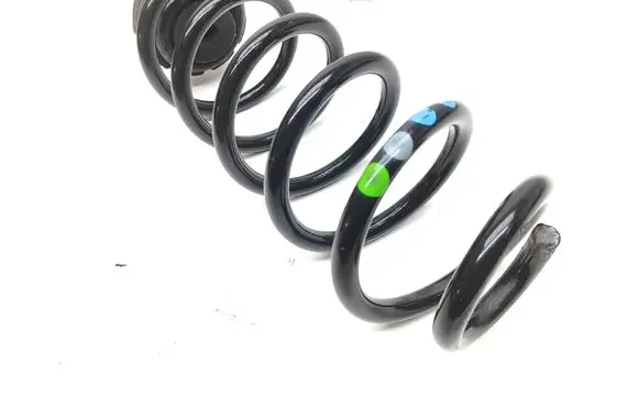 Rear coil spring