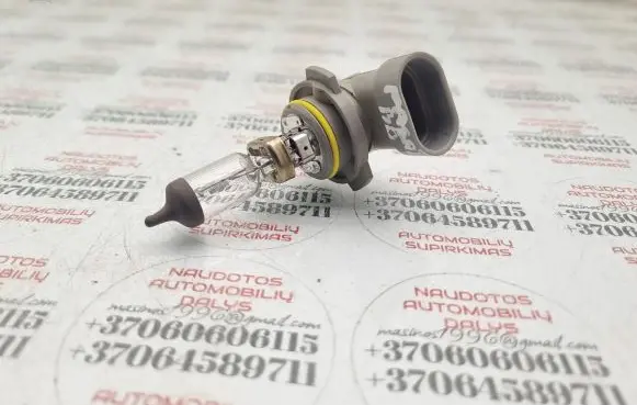 Volkswagen PASSAT B6 Fog light bulb 