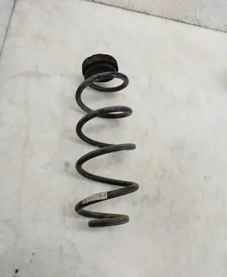 Rear coil spring