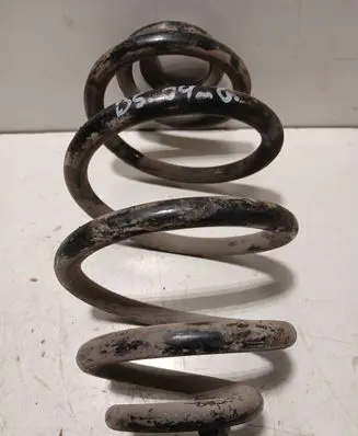 Volkswagen PASSAT B5.5 Rear coil spring