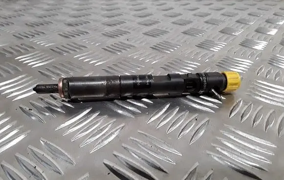 Renault Kangoo I Fuel injector 8200240244 8200049876 ejbr02101z