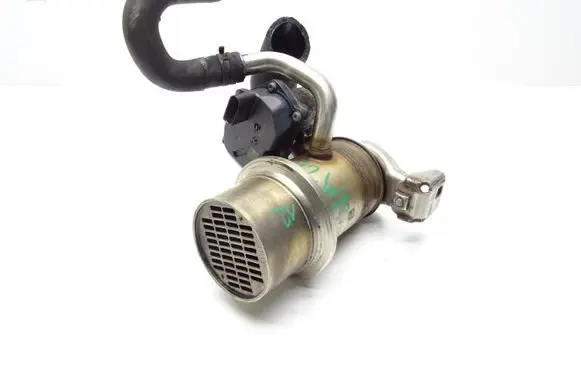 EGR valve
