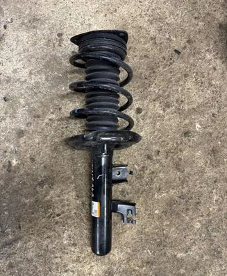 Renault Megane E-Tech Front shock absorber/damper 543028154R