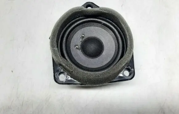 Front door speaker