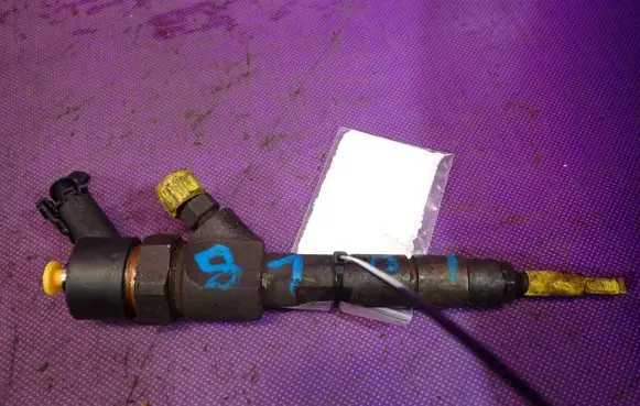 Renault Laguna II Fuel injector 0445110021