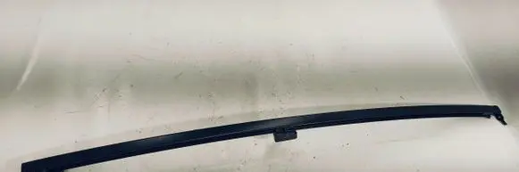 Subaru Outback (BS) Rear door windshield rail 