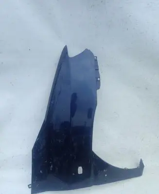 Hyundai Matrix Fender
