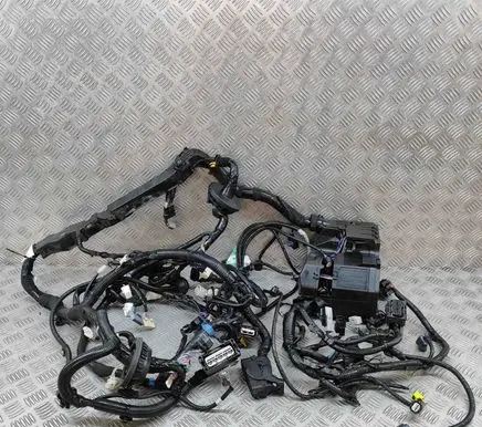 Engine installation wiring loom