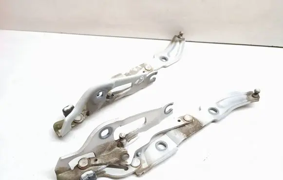 BMW 1 E82 E88 Tailgate/trunk/boot hinge 7166752 7166751