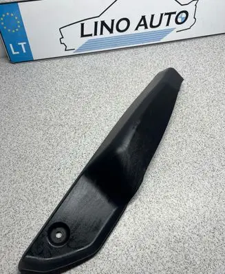 Rear/tail light trim molding