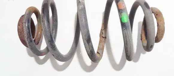 Volkswagen PASSAT B5 Rear coil spring
