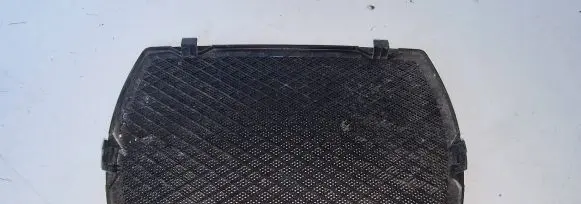 Dash center speaker trim cover
