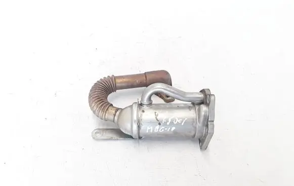 Renault Megane III EGR valve cooler