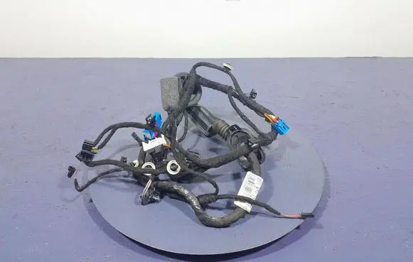 Skoda Superb B5 (3U) Other wiring loom 3V1971121CG