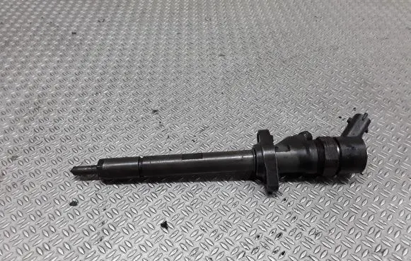 Citroen C5 Fuel injector 0445110036