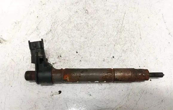 Peugeot 4007 Fuel injector 0445115025