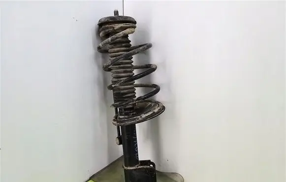 Peugeot 307 Front shock absorber with coil spring 810338