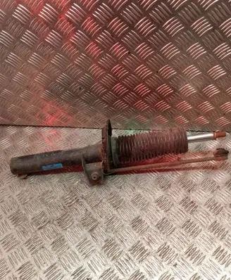 Skoda Octavia Mk2 (1Z) Front shock absorber/damper 312266