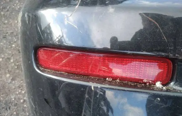 Toyota Corolla Verso AR10 Rear tail light reflector 