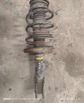 Citroen C4 I Front shock absorber with coil spring G7205