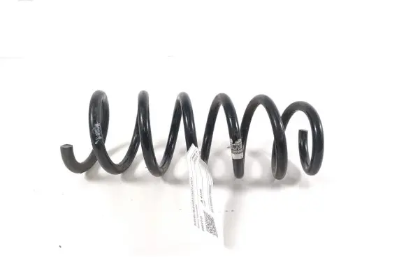 BMW X3 G01 Rear coil spring 6884918