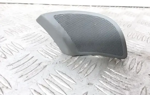 Front door high frequency speaker