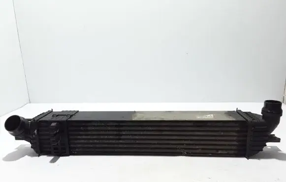 Renault Laguna III Intercooler radiator 144960001R