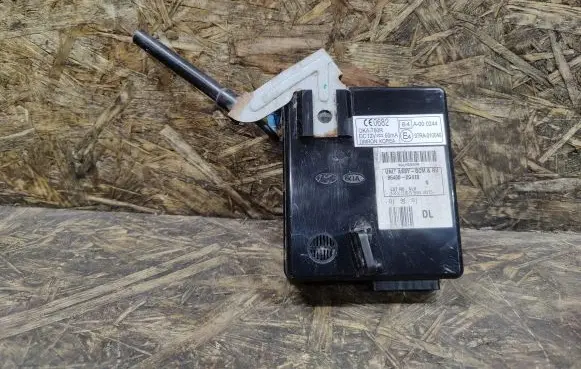 KIA Magentis Door central lock control unit/module 954002G410