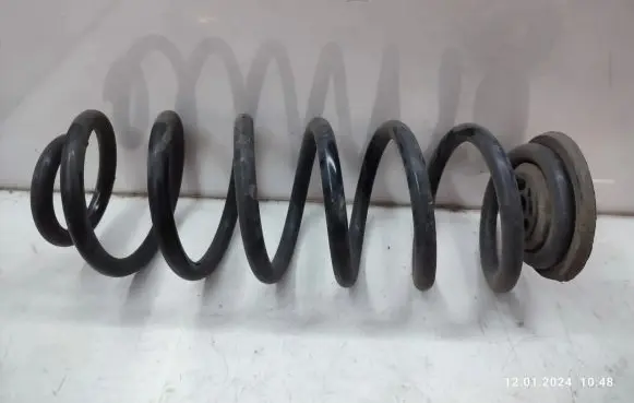Volkswagen Tiguan Rear coil spring