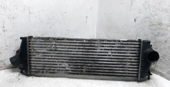Renault Trafic II (X83) Intercooler radiator 985650BB 93854162 8200411160