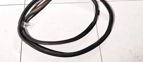 Mitsubishi Grandis Rubber seal front coupe door 