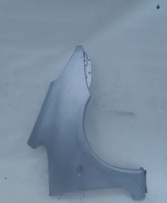 Citroen Xsara Fender