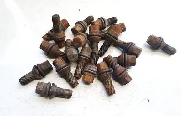 Renault Laguna III Nuts/bolts 