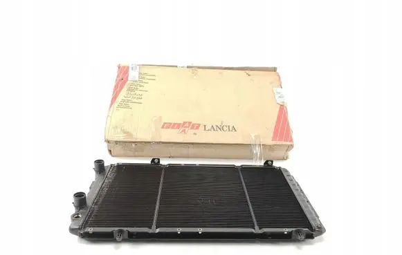 Fiat Ducato Coolant radiator 1307393080