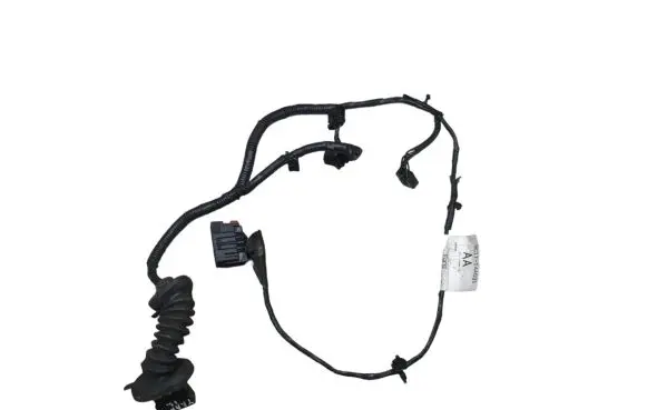 Front door wiring loom