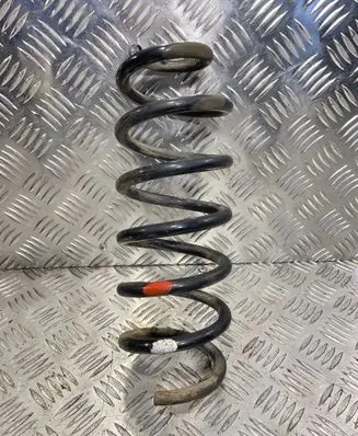 Rear coil spring