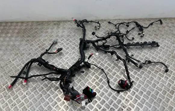 Renault Arkana Engine installation wiring loom 242960152R 240117215S F2165640