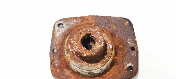 Coil spring mount